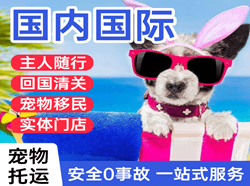 昌北机场快递国际宠物托运 【国